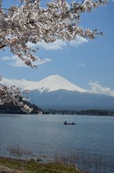 Mt.Fuji